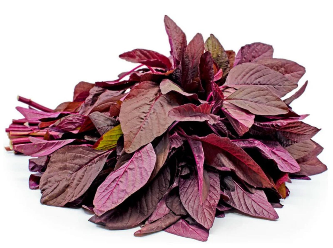 Amaranth Leaves (red)