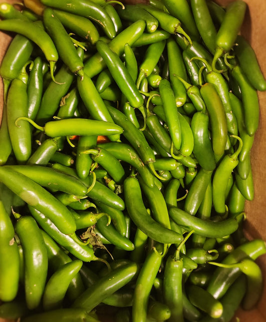 Green Serrano Pepper