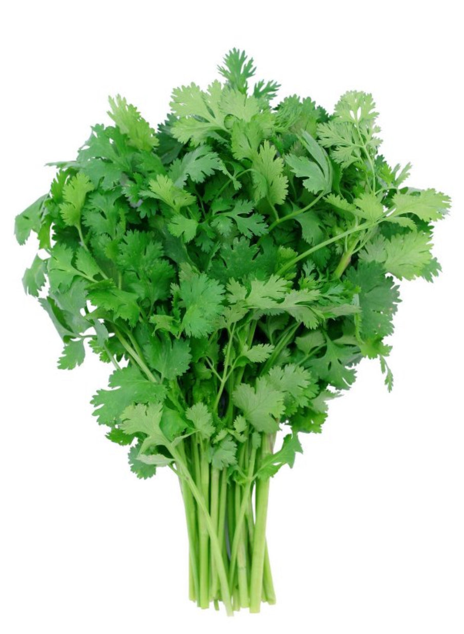 Cilantro - 1 bunch